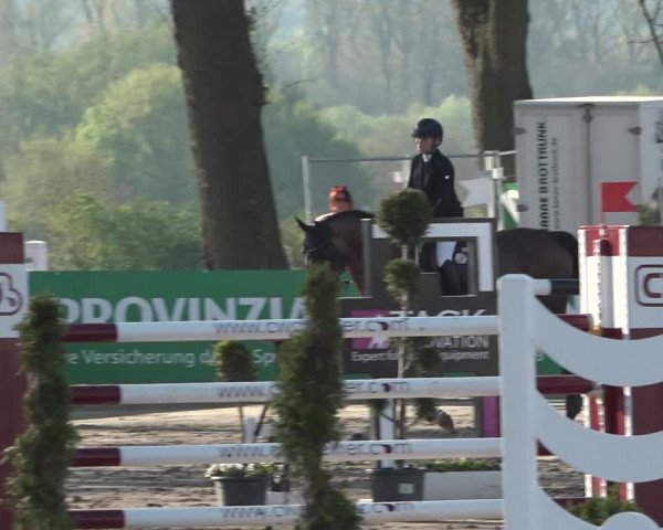 Reitturnier Werne-Lenklar 2019