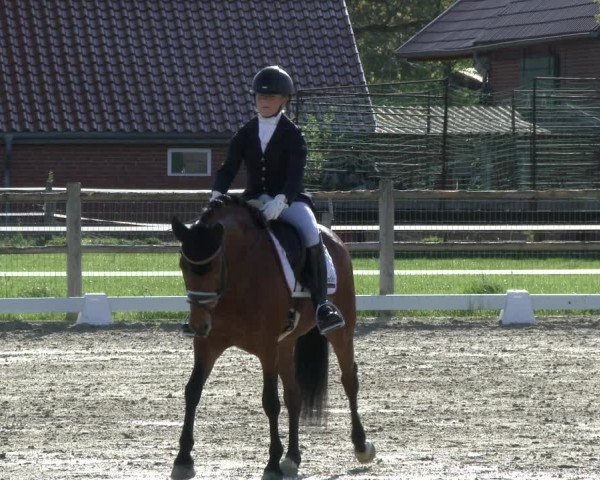 Reitturnier Warendorf, Reitstall am Rothenbach 2019