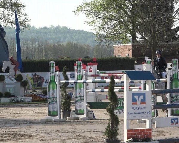 Reitturnier Werne-Lenklar 2019
