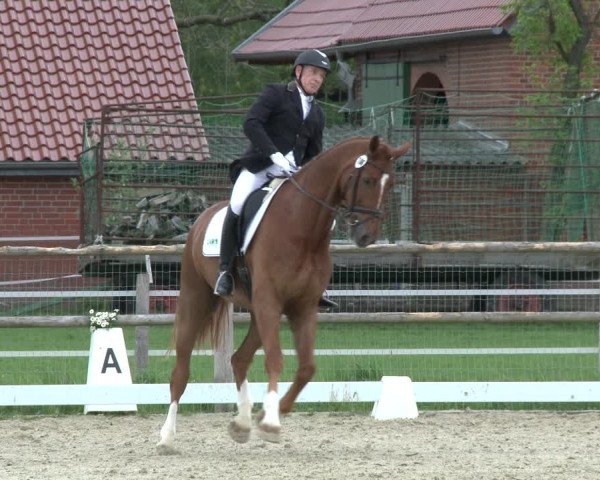 Reitturnier Warendorf, Reitstall am Rothenbach 2019