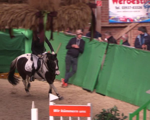 Krumke Hallenturnier mit KM 2021