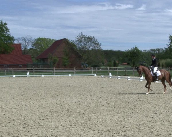 Reitturnier Warendorf, Reitstall am Rothenbach 2019