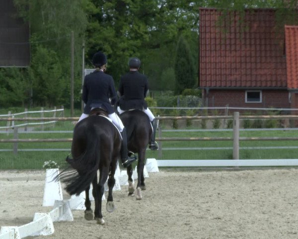 Reitturnier Warendorf, Reitstall am Rothenbach 2019