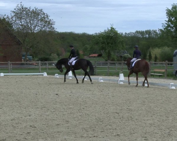 Reitturnier Warendorf, Reitstall am Rothenbach 2019