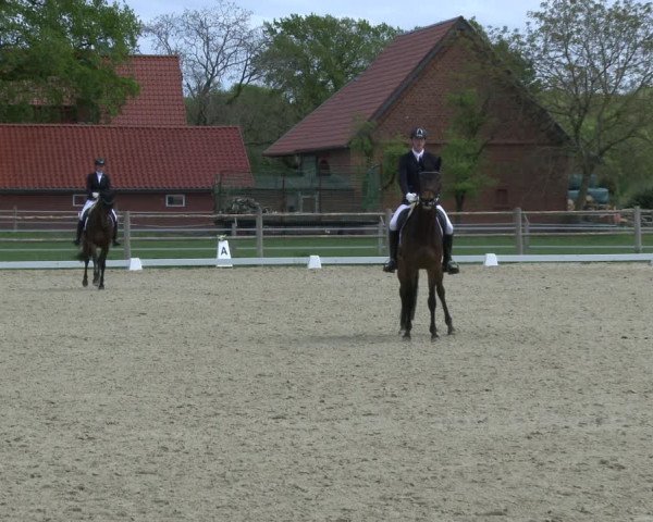 Reitturnier Warendorf, Reitstall am Rothenbach 2019