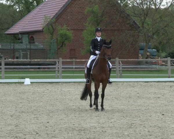 Reitturnier Warendorf, Reitstall am Rothenbach 2019