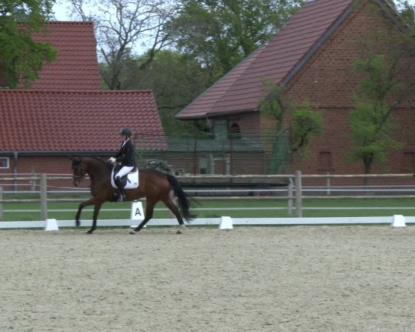 Reitturnier Warendorf, Reitstall am Rothenbach 2019