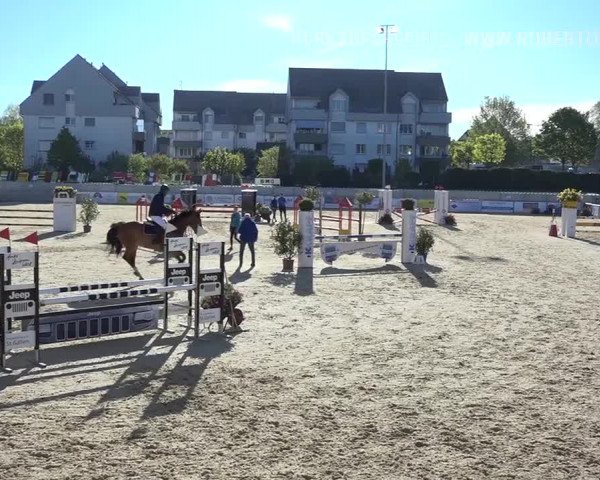 Osterspringen Amriswil 2019