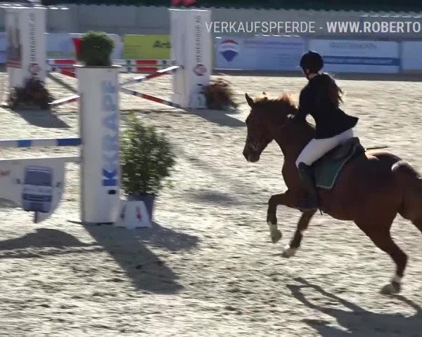 Osterspringen Amriswil 2019