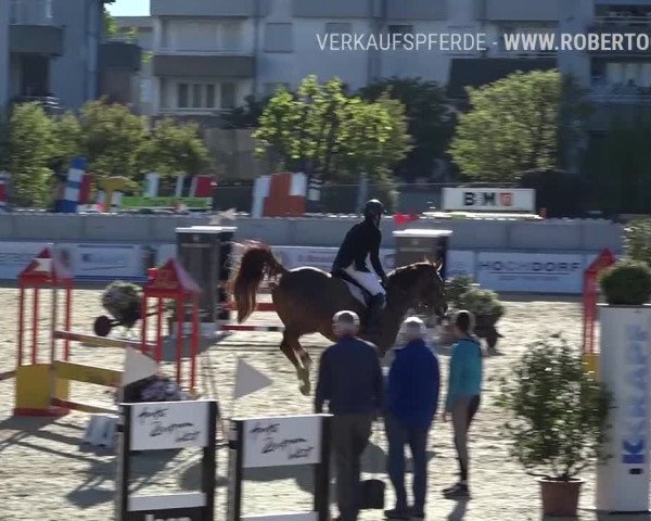 Osterspringen Amriswil 2019