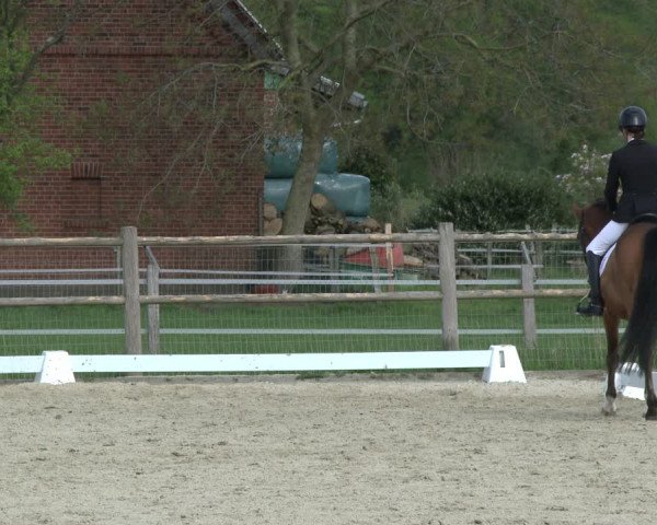 Reitturnier Warendorf, Reitstall am Rothenbach 2019