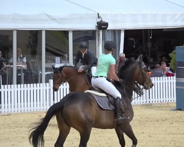 Osterspringen Amriswil 2019
