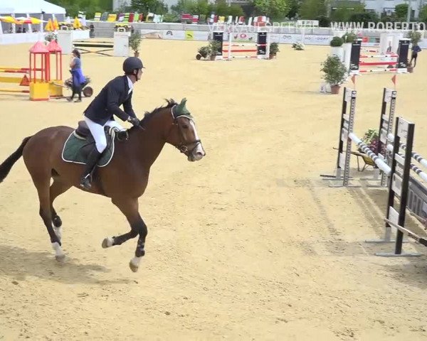 Osterspringen Amriswil 2019