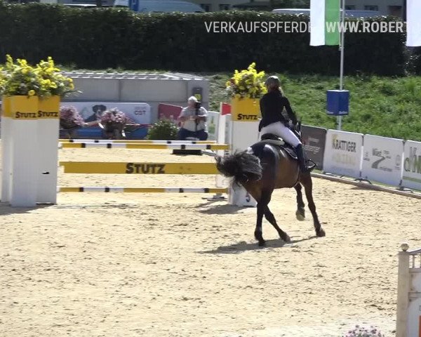 Osterspringen Amriswil 2019