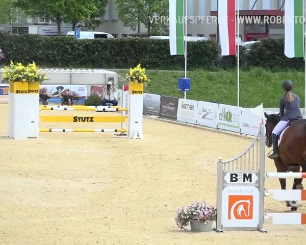 Osterspringen Amriswil 2019