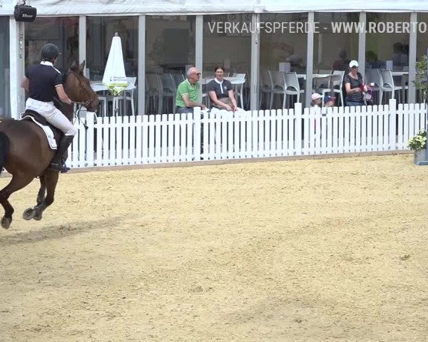 Osterspringen Amriswil 2019