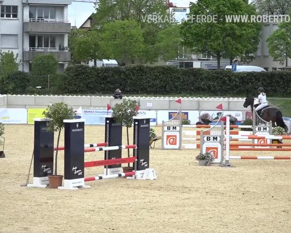 Osterspringen Amriswil 2019