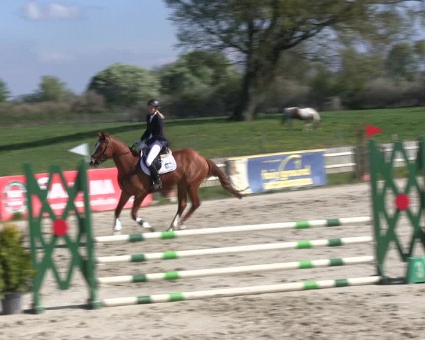 Reitturnier Schülp / Rendsburg 2019
