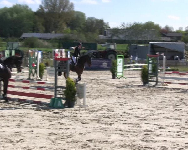 Reitturnier Schülp / Rendsburg 2019