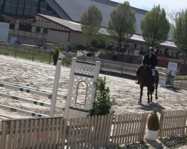 Reitturnier Schülp / Rendsburg 2019