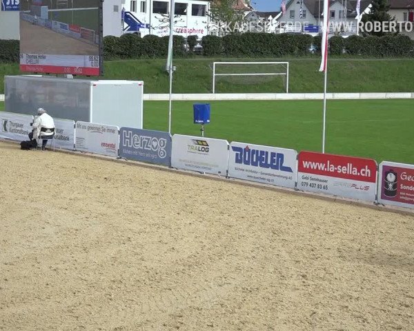 Osterspringen Amriswil 2019