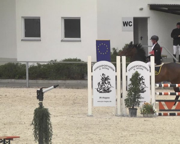 Reitturnier Ingolstadt-Hagau 2019