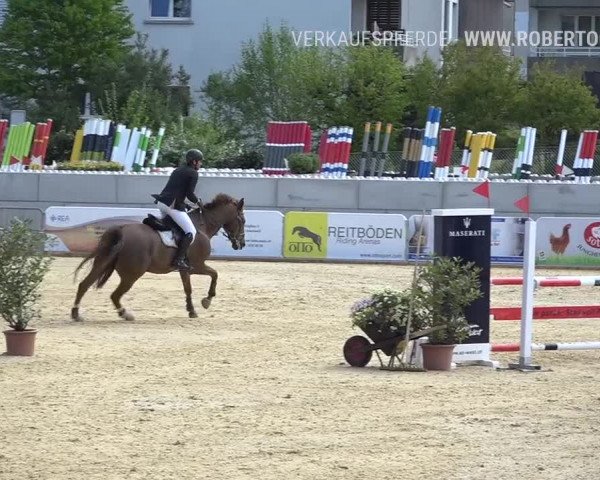 Osterspringen Amriswil 2019