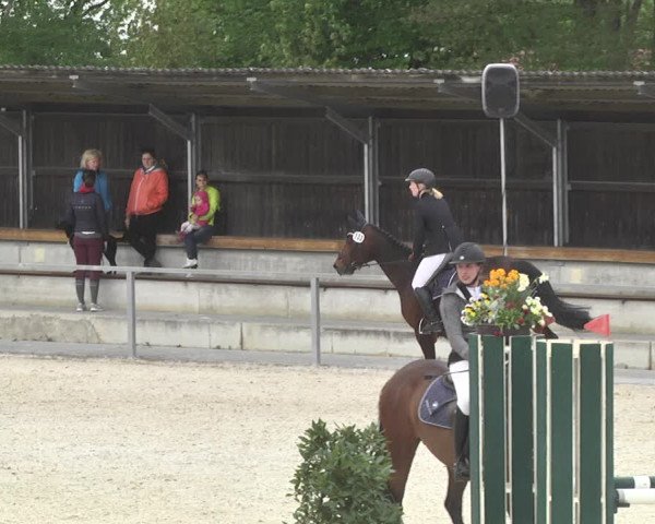 Reitturnier Ingolstadt-Hagau 2019