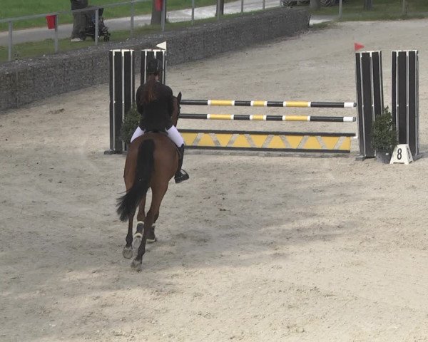Reitturnier Ingolstadt-Hagau 2019