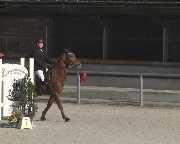Reitturnier Ingolstadt-Hagau 2019