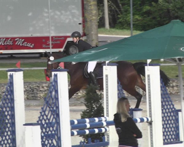 Reitturnier Ingolstadt-Hagau 2019
