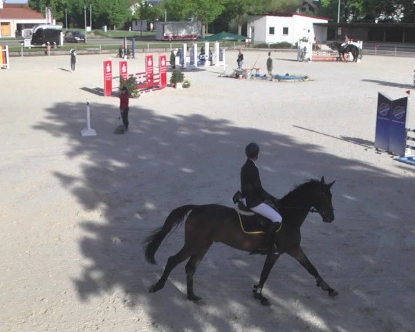 Reitturnier Ingolstadt-Hagau 2019