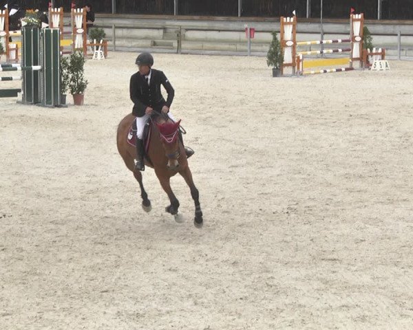 Reitturnier Ingolstadt-Hagau 2019