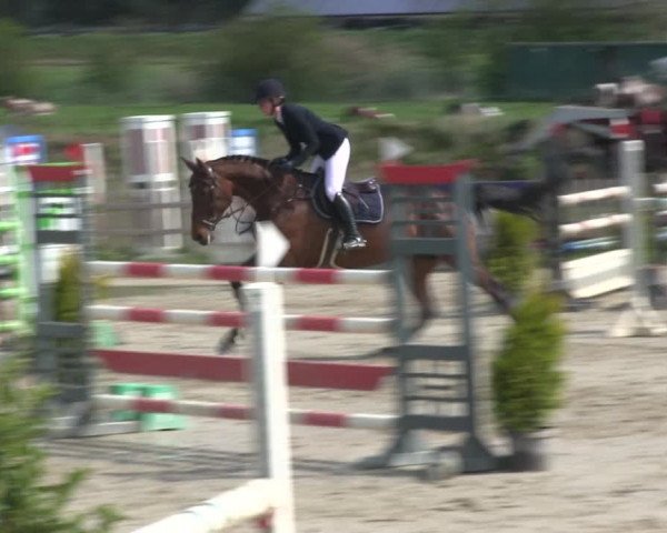 Reitturnier Schülp / Rendsburg 2019