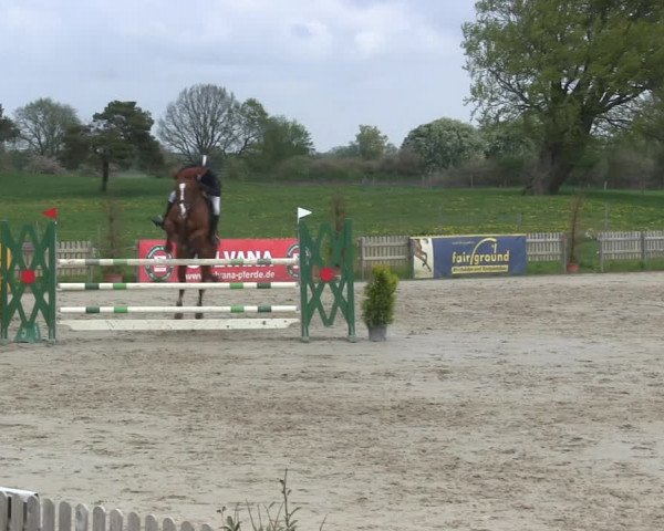 Reitturnier Schülp / Rendsburg 2019