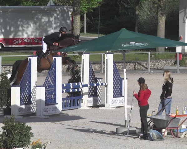Reitturnier Ingolstadt-Hagau 2019