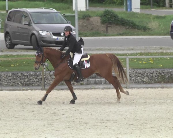 Reitturnier Ingolstadt-Hagau 2019
