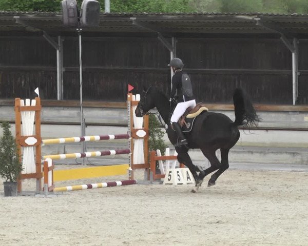 Reitturnier Ingolstadt-Hagau 2019
