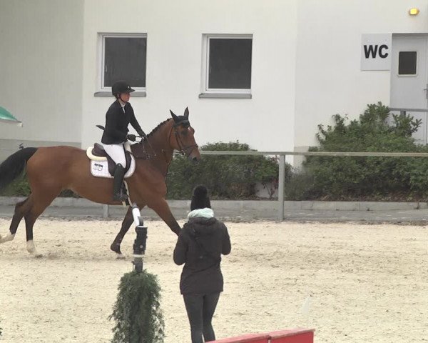 Reitturnier Ingolstadt-Hagau 2019
