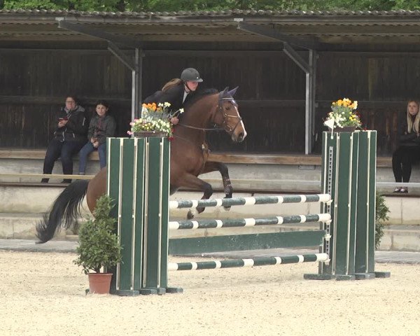 Reitturnier Ingolstadt-Hagau 2019