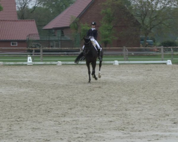 Reitturnier Warendorf, Reitstall am Rothenbach 2019