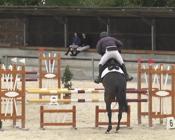 Reitturnier Ingolstadt-Hagau 2019