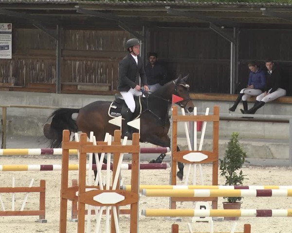 Reitturnier Ingolstadt-Hagau 2019