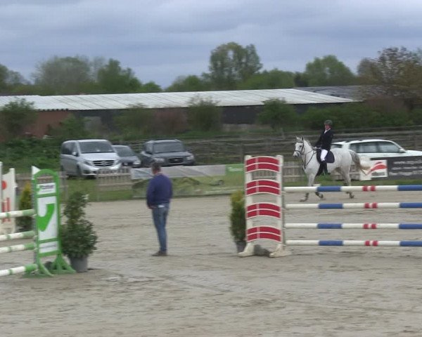 Reitturnier Schülp / Rendsburg 2019
