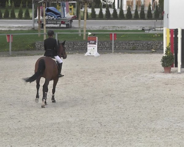Reitturnier Ingolstadt-Hagau 2019