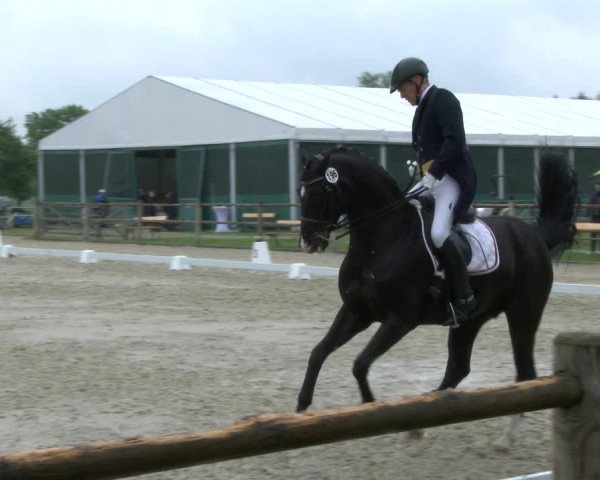 Reitturnier Warendorf, Reitstall am Rothenbach 2019