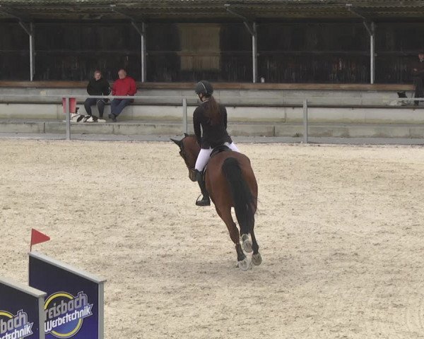 Reitturnier Ingolstadt-Hagau 2019