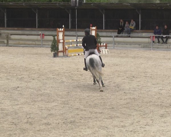 Reitturnier Ingolstadt-Hagau 2019