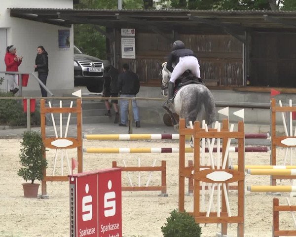 Reitturnier Ingolstadt-Hagau 2019