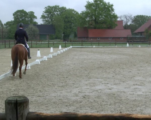 Reitturnier Warendorf, Reitstall am Rothenbach 2019